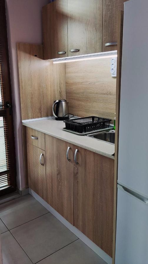 Liliya Apartment Плевна Экстерьер фото